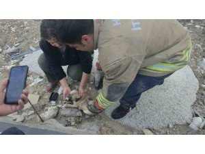 RÖGARDA MAHSUR KALAN YAVRU KÖPEĞİ İTFAİYE KURTARDI