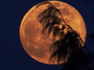 ANTALYA'DA KUNDUZ SÜPER DOLUNAYI