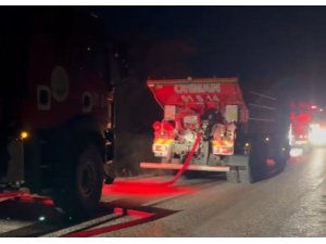 ADANA’DA ORMAN YANGINI BÜYÜMEDEN SÖNDÜRÜLDÜ