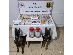 REYHANLI’DA SAZLIK ALANDA 100 BİN ADET UYUŞTURUCU HAP ELE GEÇİRİLDİ