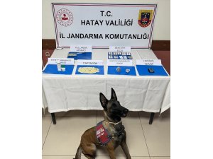 İSKENDERUN’DA JANDARMA’DAN UYUŞTURUCU OPERASYONU