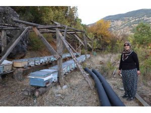 ADANA’DA SICAKLIK DÜŞMEYİNCE ARILAR KIŞLAMA İÇİN KOVANLARA GİRMEDİ