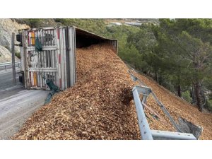 TIR DEVRİLDİ, SÜRÜCÜ HAFİF YARALANDI