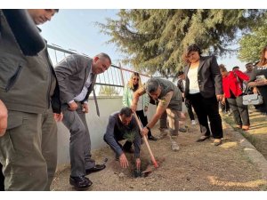 YEŞİL VATAN İÇİN TOROSLAR MESEM’DE FİDANLAR TOPRAKLA BULUŞTU
