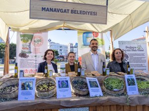 ZEYTİN VE ZEYTİNYAĞI FESTİVALİ BAŞLADI