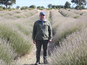 SARICA: "BURDUR GÖLÜ YOK OLACAK"