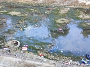 SULAMA KANALINDAKİ BALIKLAR TELEF OLMAYA DEVAM EDİYOR