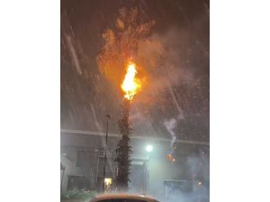 ADANA’DA DÜŞEN YILDIRIMLAR YANGINA NEDEN OLDU