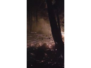 HATAY’DA YILDIRIMIN DÜŞTÜĞÜ ORMANLIK ALANDAKİ YANGIN 16’NCI SAATTE KONTROL ALTINA ALINDI