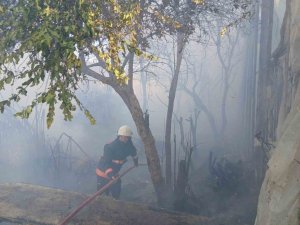 BOZYAZI’DA ÇIKAN YANGIN SERALARA ZARAR VERDİ