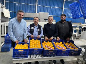 AGC VE MÜSİAD ANTALYA’DAN FİNİKE ÇIKARMASI