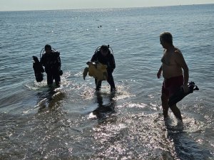 AĞLARA TAKILI CARETTA CARETTA KURTARILDI