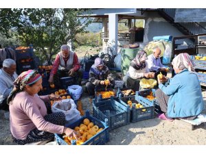 ADANA’NIN HURMALI KÖYÜ, AÇIK FABRİKAYA DÖNÜŞTÜ