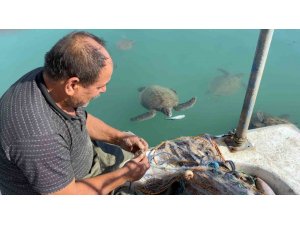 BALIKÇILARIN DOSTU: GÖÇ ETMEYEN CARETTA CARETTALAR LİMANI MESKEN TUTTU