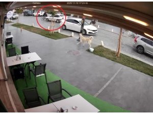 YOLUN KARŞISINA GEÇMEK İSTEYEN BİSİKLETLİYE OTOMOBİL ÇARPTI: 1 YARALI