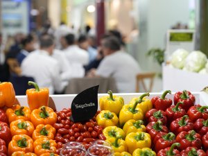 GROWTECH.ANTALYA'DA 3'ÜNCÜ GÜN HEYECANI