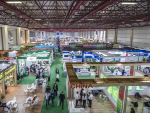 GROWTECH.ANTALYA'YA ÇİN VE HİNDİSTAN DAMGA VURDU