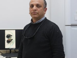 'BAZI FİRMALAR, HIZLI SONUÇ ALMAK İÇİN TARIM ZEHRİ KULLANIYOR'