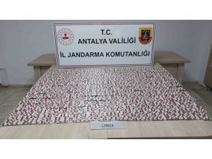 FİNİKE’DE UYUŞTURUCU OPERASYONU: 1 TUTUKLAMA