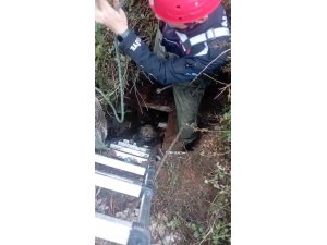 FOSEPTİK ÇUKURUNA DÜŞEN KÖPEĞİ İTFAİYE KURTARDI