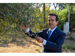 ANTALYA’NIN SIVI ALTINI YARIŞACAK