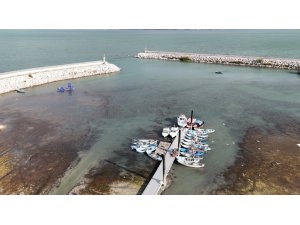 PROF. DR.  ŞAHİN UYARDI: "EĞİRDİR GÖLÜ’NÜN HIZLA ÇEKİLMESİ İLÇEYİ FELAKETE SÜRÜKLÜYOR"