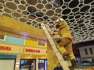 HATAY’DA DUVAR BOŞLUĞUNA SIKIŞAN KEDİ İTFAİYE EKİPLERİNCE KURTARILDI