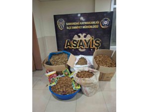 SAMANDAĞ’DA KAÇAK TÜTÜN OPERASYONU