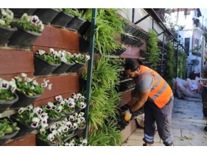 ANTALYA’DA 4 MİLYON ÇİÇEK TOPRAKLA BULUŞUYOR