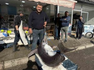 138 KİLOLUK KILIÇ BALIĞI İLGİ ODAĞI OLDU