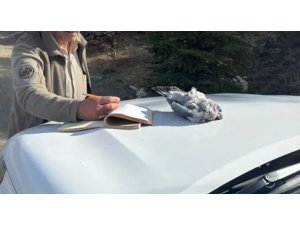 BURDUR’DA KAÇAK AVCILAR EKİPLERE YAKALANDI