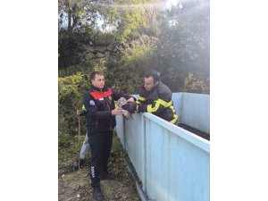 YAYLADAĞI’NDA BAYKUŞ KURTARMA OPERASYONU