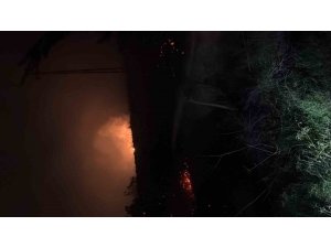 HATAY’DA ÇIKAN OTLUK YANGINI SÖNDÜRÜLDÜ