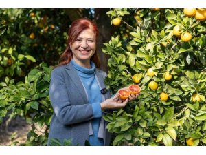 MERSİN KAN PORTAKALINDA HEDEF AB TESCİLİ