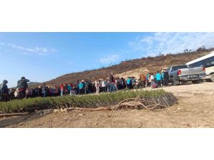 ÖĞRENCİLER, ORMAN YANGININDA ZARAR GÖREN ALANA FİDAN DİKTİ