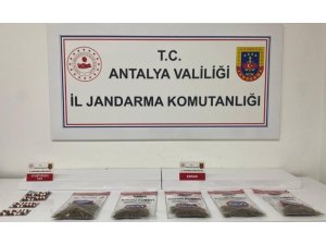 ALANYA’DA JANDARMADAN UYUŞTURUCU OPERASYONU