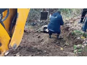 HATAY’DA DEREYE DÜŞEN İNEK İTFAİYE EKİPLERİ TARAFINDAN KURTARILDI