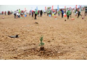 ATÜ YEŞİL KAMPÜS OLMA YOLUNDA İLERLİYOR: DİKİLEN FİDAN SAYISI 22 BİN 500’Ü BULDU