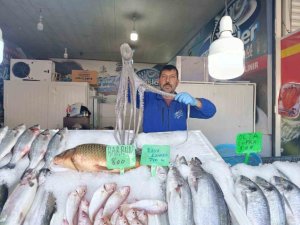 DENİZE KIYISI OLMAYAN KAHRAMANMARAŞ’TA BALIĞA YOĞUN İLGİ