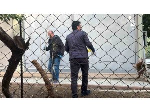 ALANYA’DA ALACAK VERECEK MESELESİ KANLI BİTTİ, 1 YARALI