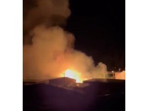 MERSİN’DE SAZLIK ALANDAKİ YANGIN SÖNDÜRÜLDÜ: BİR SERA ZARAR GÖRDÜ