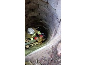 KUYUYA DÜŞEN KÖPEĞİ İTFAİYE KURTARDI