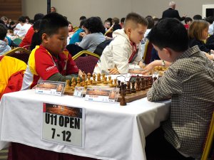 FIDE DÜNYA SATRANÇ ŞAMPİYONASI ANTALYA'DA DÜZENLENİYOR