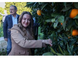 BAŞKAN VEKİLİ ÖZDEMİR: "FİNİKE’NİN İHTİYAÇLARI DOĞRULTUSUNDA ÇALIŞMALARIMIZI YAPIYORUZ"