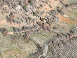 NURHAK’TA YABAN DOMUZU AVI YAPILDI