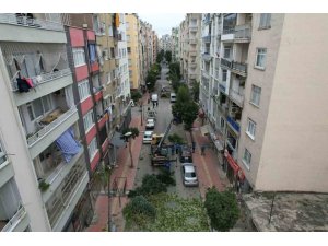 MERSİN’DE AĞAÇLARA KIŞ BAKIMI