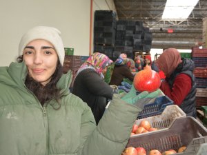 KORKUTELİ'DEN NAR İHRACATI BAŞLADI