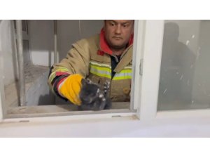 HATAY’DA HAVALANDIRMA BOŞLUĞUNA DÜŞEN YAVRU KEDİ KURTARILDI