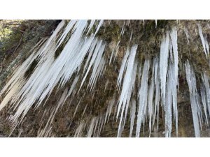 ADANA’DA BUZ SARKITLARI OLUŞTU