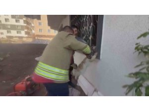 PENCERE KORKULUĞUNU SIKIŞAN KEDİYİ İTFAİYE KURTARDI